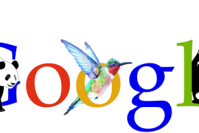 الگوریتم جدید گوگل به نام مرغ مگس خوار
